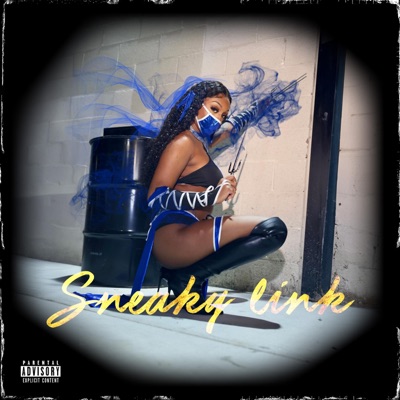 Sneaky Link - Single