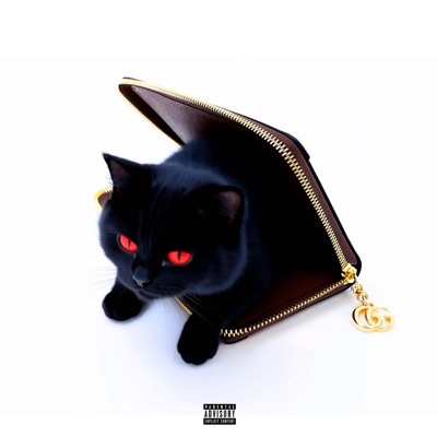 GATA FINA (feat. Yungwave02) - Single