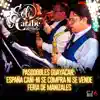 Sol Caribe - PASODOBLES GUAYACAN: España Cañí-Ni Se Compra Ni Se Vende-Feria De Manizales