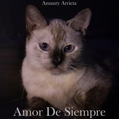 Amor de Siempre - Single