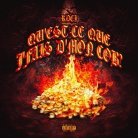 Qu'est-ce que j'fais d'mon cob? - Single - RDCI