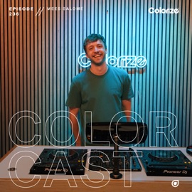 Rose (Mixed) Mees Salomé