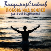 Любовь над Землёй (feat. Лиза Роднянская) - Single - Владимир Семёнов