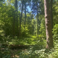 Beans (feat. Hunchovelly) - Single - strainz