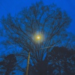lost touch - Single