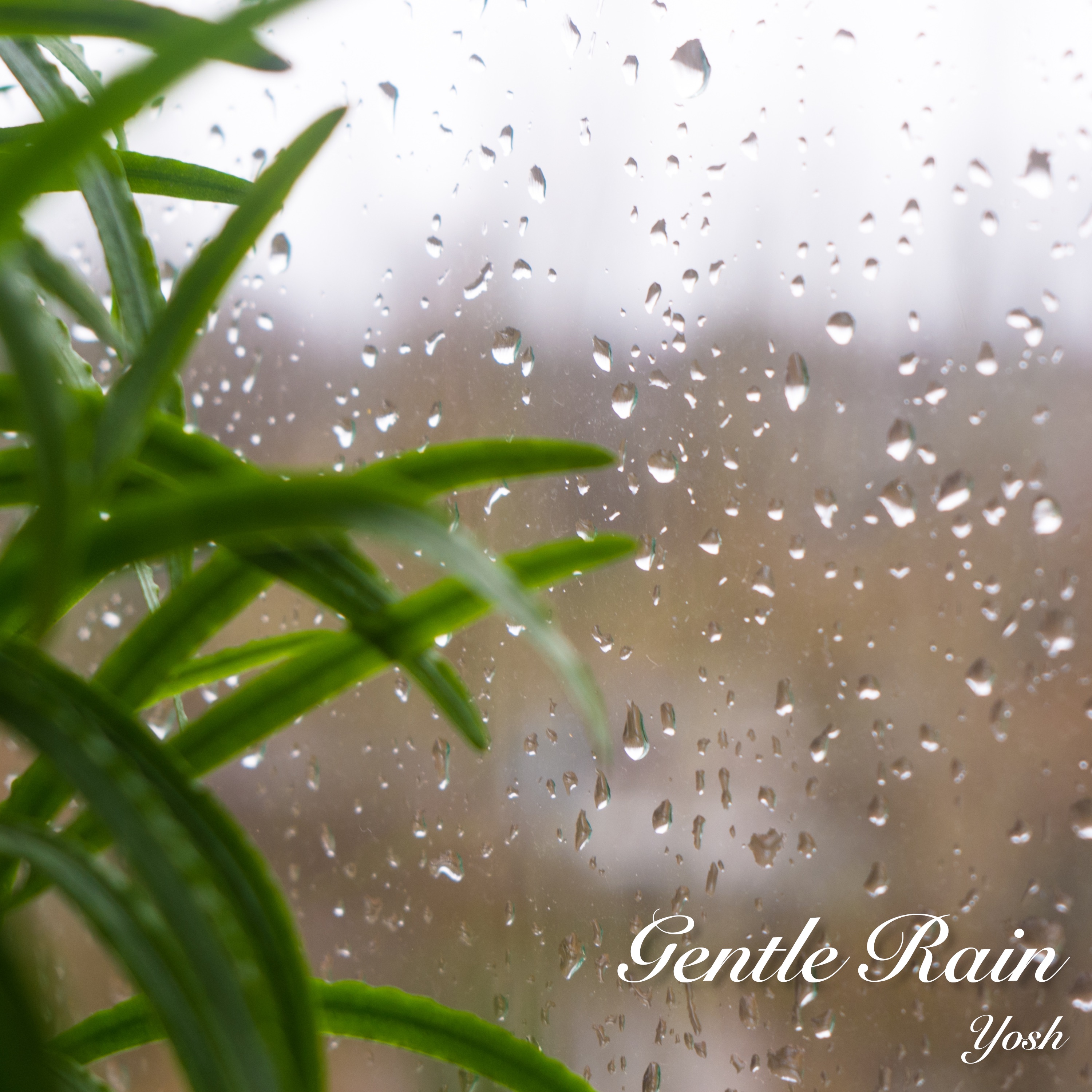 Gentle Rain - Single