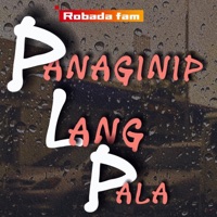 P.L.P - Single - Robada Fam