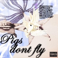 Pigs Don't Fly - Single - Cal1sto & Ern3st