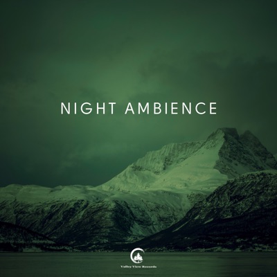 Night Ambience