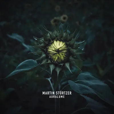 Ouça Auralume de Martin Stürtzer.