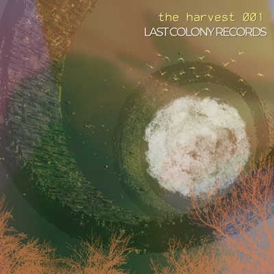 20000 Fersah - Single