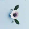 Blossom