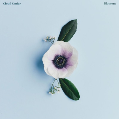 Blossom - Single