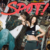 SPOT! (feat. JENNIE) - ZICO Cover Art