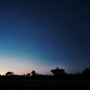 under the moon