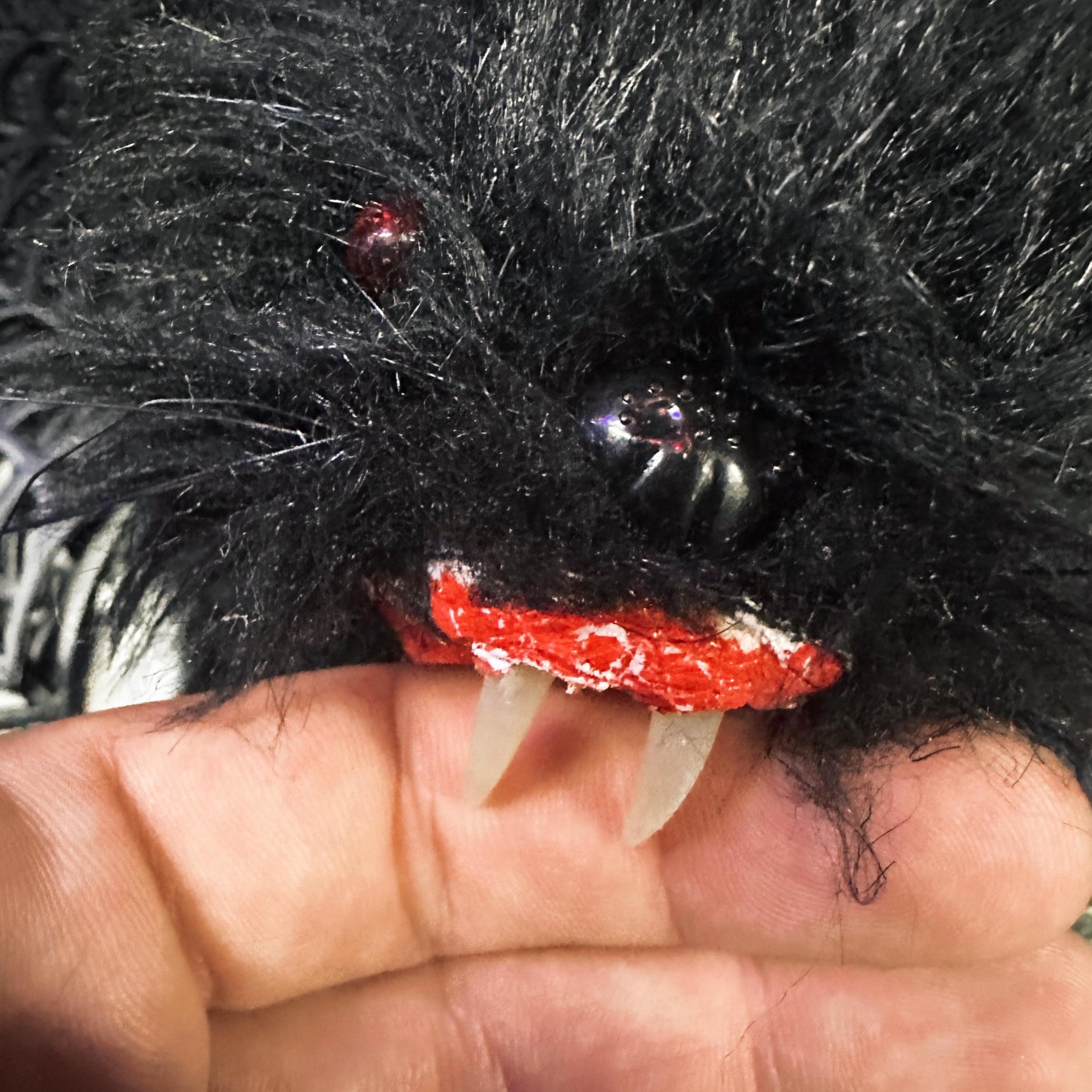 Il cameriere - Single