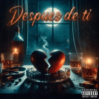 D.D.T - Single - Ibarra_G² & CNR