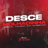 Desce Molhadinha (feat. Breeze Fluxos) - Single