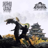 Discern and Dishonor (feat. Dreamboi Katana) - Single - Echo from the Void