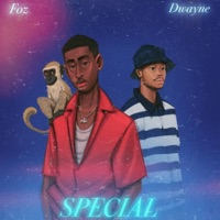 Special (feat. Dwayne) - Single - FOZ