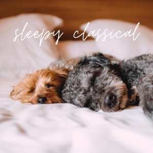 sleepy classical