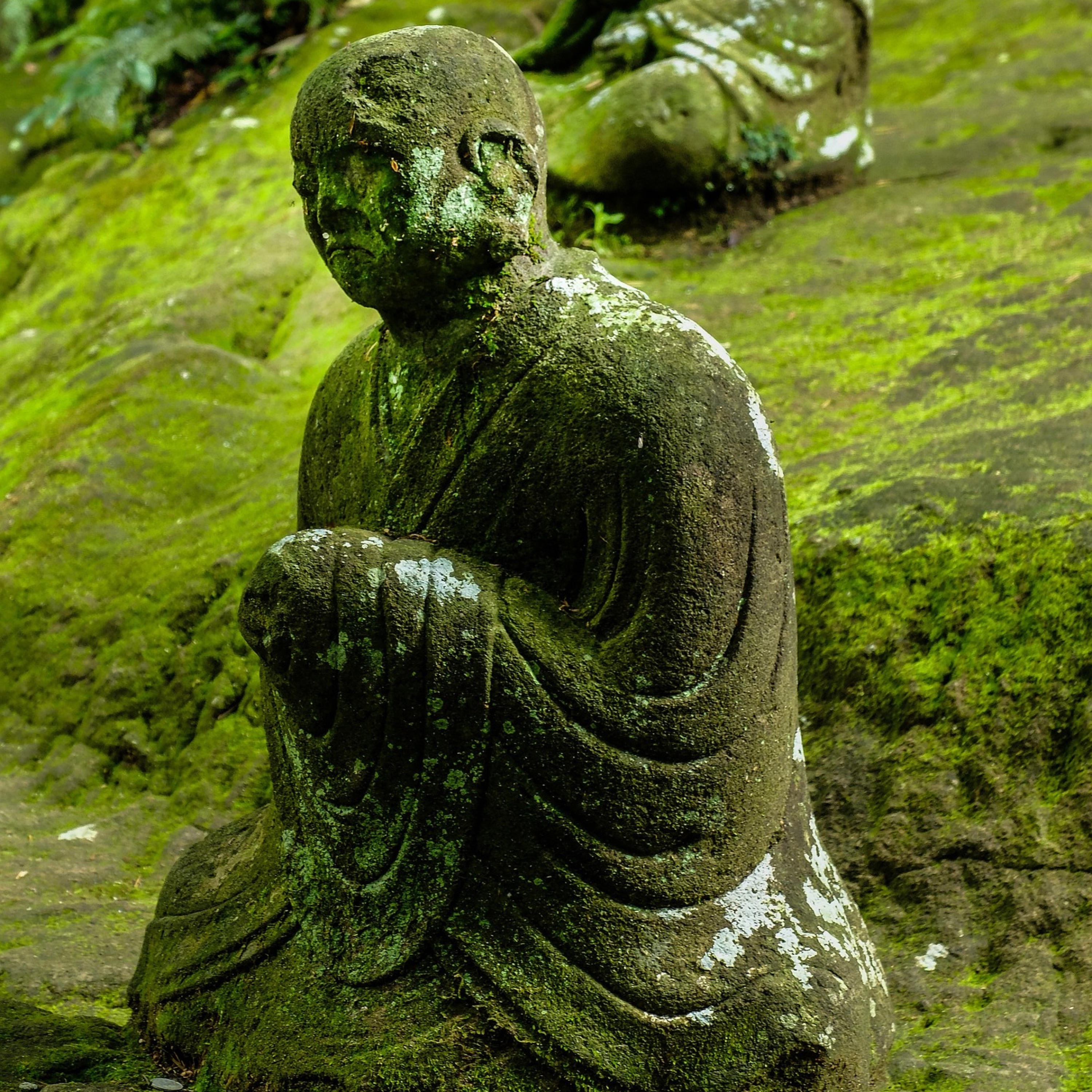 Sounds of nature and relax music