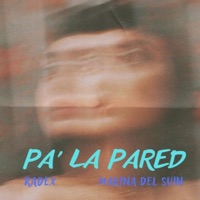 Pa la Pared (feat. Makina del suin) - Single - Radex