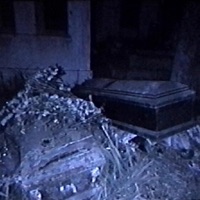 ABDORRASULZARRIN - Single - SHAO KANE