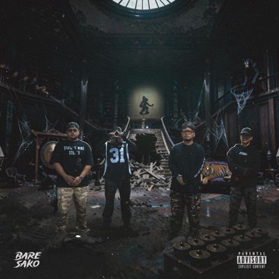 BARE SAKO