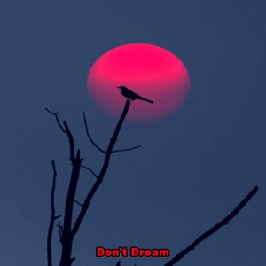 Don't Dream