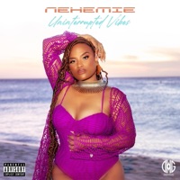 Uninterrupted Vibes - EP - Nehemie