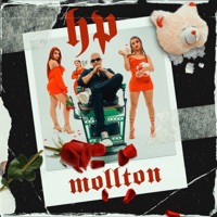 HP - Single - Moltton