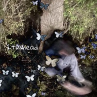 2thehead - EP - Nol6ck