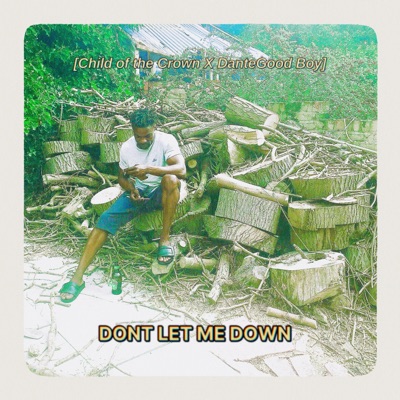 DONT LET ME DOWN (feat. Dante Good Boy) - Single