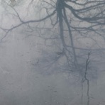 vent - Single
