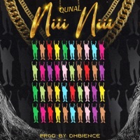 Niii Niii - Single - QUNAL