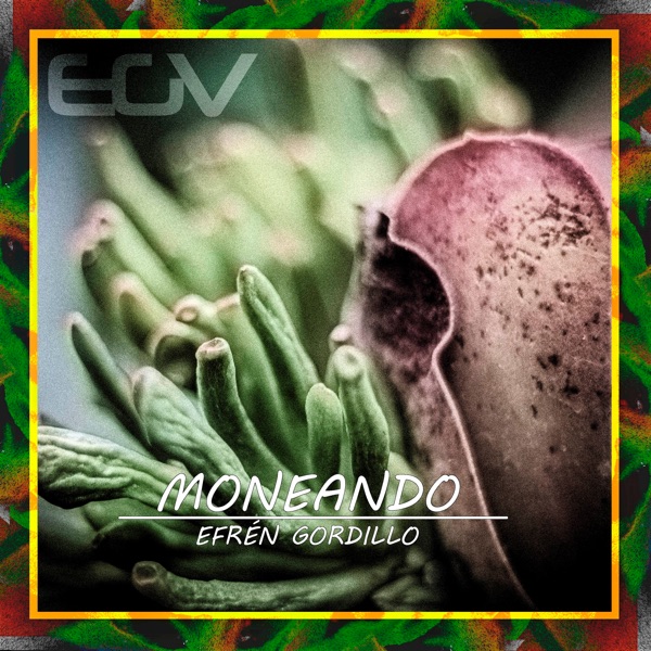 Moneando