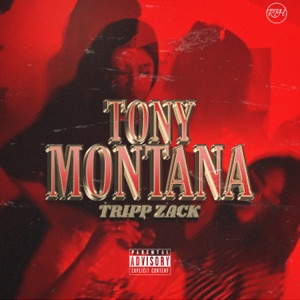Tony Montaña
