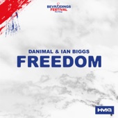 Freedom (Official Song Bevrijdingsfestival Den Haag) artwork