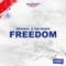 Freedom (Official Song Bevrijdingsfestival Den Haag) artwork