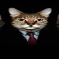 PUKATUSI (feat. Isma, Gundam, Kidd Anyel, Mini, Martelo, Jacko, ag flacko, Lowst & Icee Fran) - Single - +18 TRAP MEDELLIN