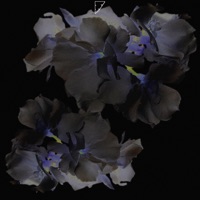 Поделиться - Single - 2RAY, Odddi & HEXLS