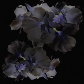 Поделиться 2RAY, Odddi & HEXLS