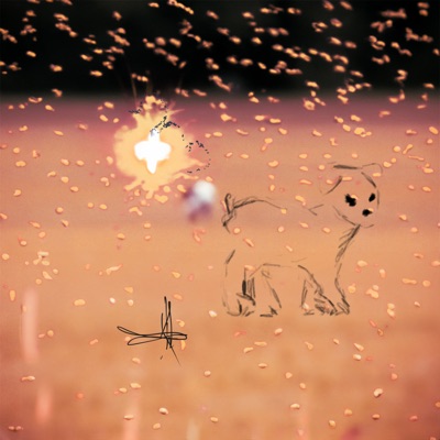 Have You Had Enough/Koto - Single