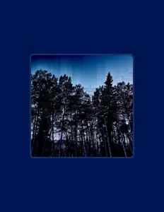 Escucha a DAMIRO, mira videos musicales, lee su biografía, consulta las fechas de las gira y más.