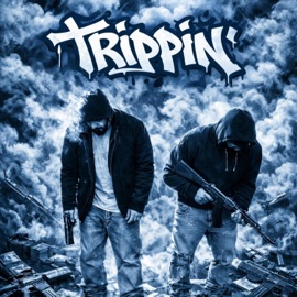 Trippin (feat. Dub21) Dsmoovve
