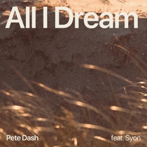 All I Dream (feat. Syon)