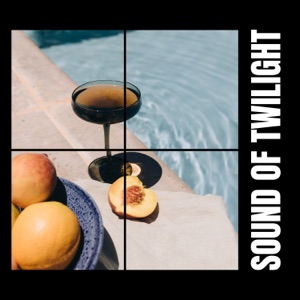 Sound of Twilight
