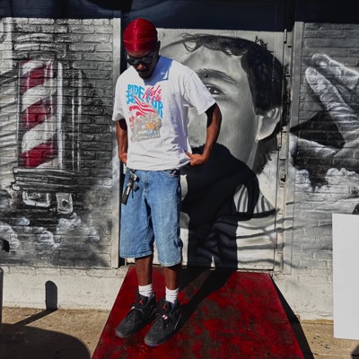 Well Established - Single