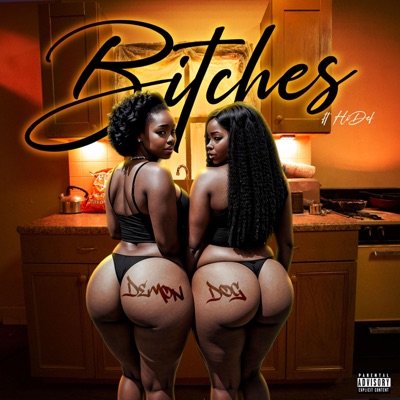 Bitches (feat. HiDef) - Single
